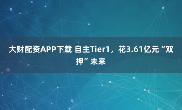 大财配资APP下载 自主Tier1，花3.61亿元“双押”未来