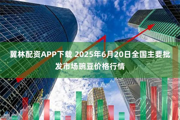 翼林配资APP下载 2025年6月20日全国主要批发市场豌豆价格行情
