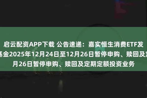 启云配资APP下载 公告速递：嘉实恒生消费ETF发起联接（QDII）基金2025年12月24日至12月26日暂停申购、赎回及定期定额投资业务