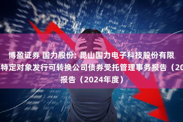 博盈证券 国力股份: 昆山国力电子科技股份有限公司向不特定对象发行可转换公司债券受托管理事务报告（2024年度）