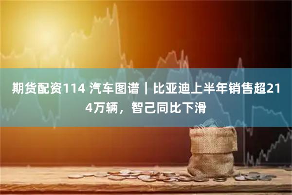 期货配资114 汽车图谱｜比亚迪上半年销售超214万辆，智己同比下滑