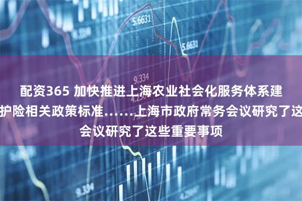 配资365 加快推进上海农业社会化服务体系建设、调整长护险相关政策标准……上海市政府常务会议研究了这些重要事项